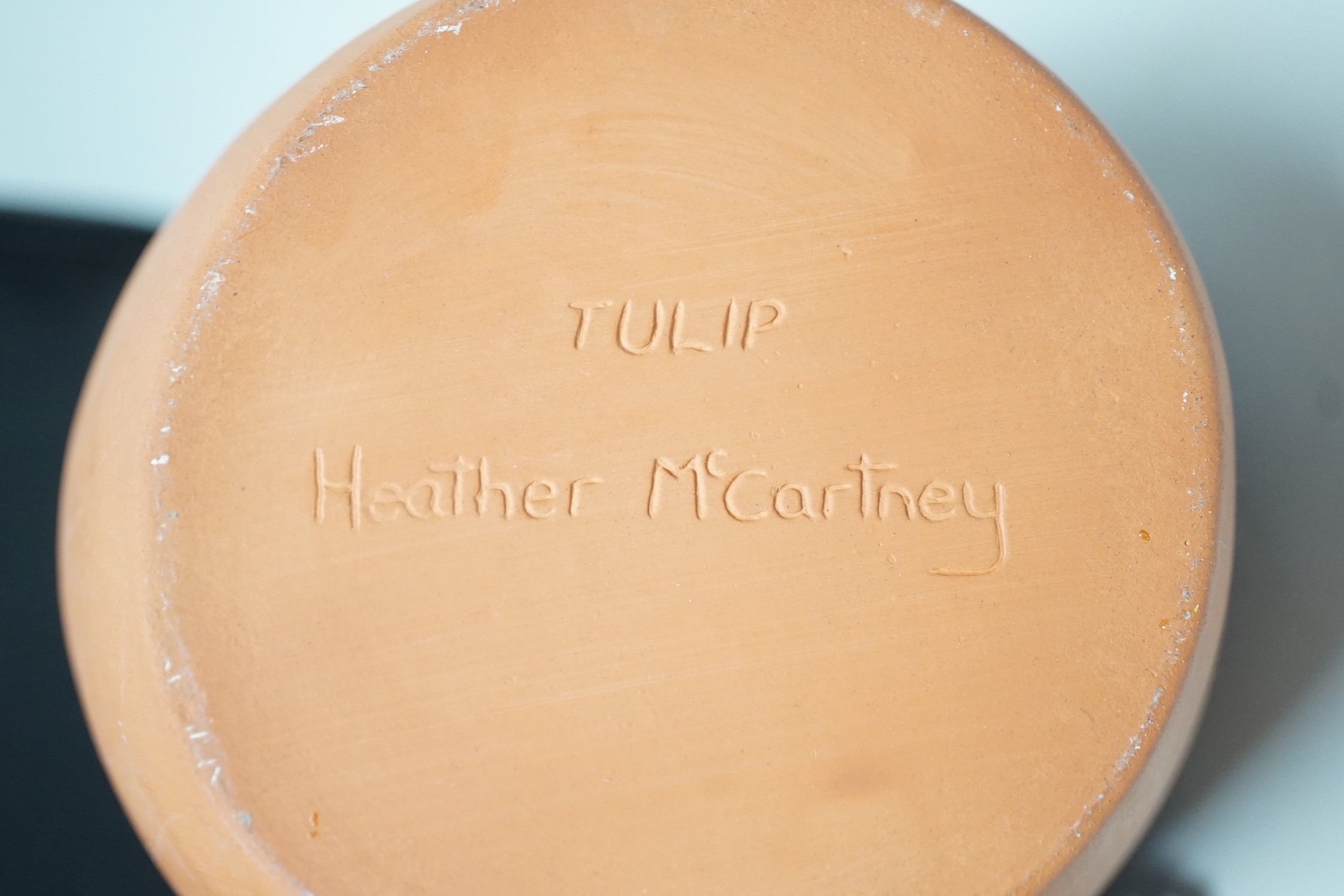 Heather McCartney, a pottery tulip vase, 21cm